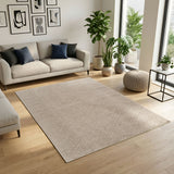 Cozy Harper Beige/Brown Rug