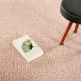 Cloud Pure Blush/ Rug
