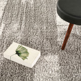 Cloud Haven Gray/Ivory Rug