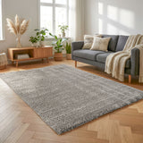 Cloud Nordic Gray/Silver Rug