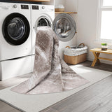 Machine Washable Austin Brown/Beige Rug