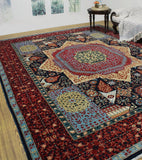 Aria Lonny Blue/Red Rug, 9'0" x 12'2"