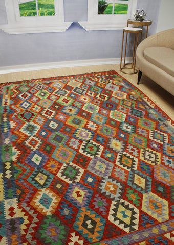 Sangat Isidro Rust/Ivory Rug, 6'7