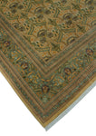 Wali Humjoli Beige/Green Rug, 8'2" x 10'0"